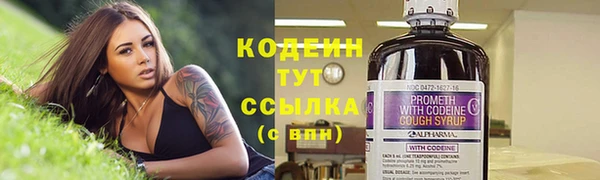 2c-b Пестово
