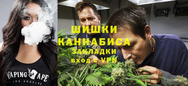 амф Пересвет
