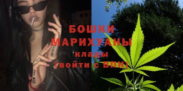 2c-b Пестово