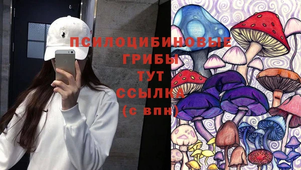 2c-b Пестово