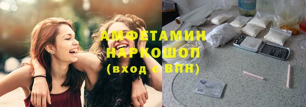 амф Пересвет